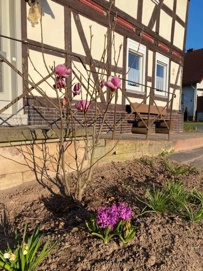 Pferdefairstand'S Ferienwohnung Haunetal Eksteriør bilde